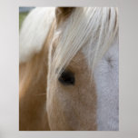 Horse Print