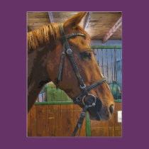 Horse Poster postcards