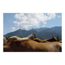 Horse poster posters by kellyodonnell Horse poster posters