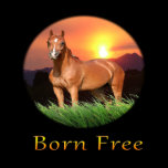 horse posters posters