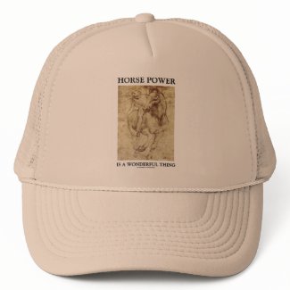 Horse Power Is A Wonderful Thing Leonardo da Vinci hat