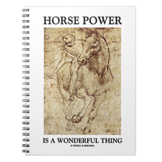 Horse Power Is A Wonderful Thing Leonardo da Vinci Notebooks