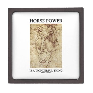 Horse Power Is A Wonderful Thing Leonardo da Vinci Premium Trinket Boxes