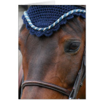 Horse Profile Greeting Cards