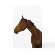 Horse Profile Greeting & Note Cards