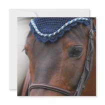 Horse Profile Invitations