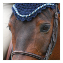 Horse Profile Invitations