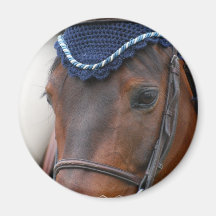 Horse Profile Magnet