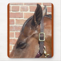 horse profile mousepads