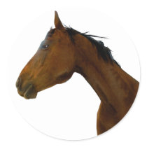 Horse Profile stickers