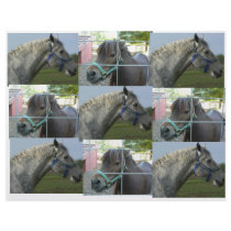 horse quilt letterhead