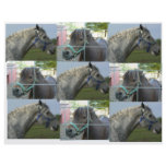 horse quilt letterhead