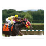 Horse Race Finish Postcard