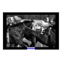Horse Racing 002 B&W Mowat SpPh posters