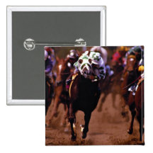 Horse racing pin