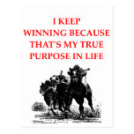 horse racing postcard