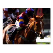 Horse Racing Postcard postcards
