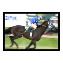 Horse racing posters