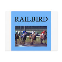 HORSE RACing railbird postcards