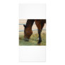 Horse rack cards