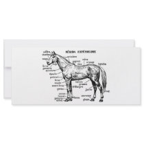 Horse Rack Card