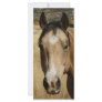 Horse Customized Rack Card