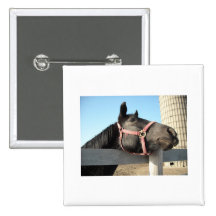 Horse/Ranch/Barn Button