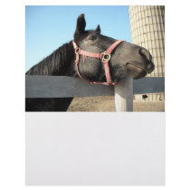 Horse/Ranch/Barn Letterhead