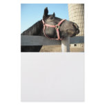 Horse/Ranch/Barn Stationery Paper