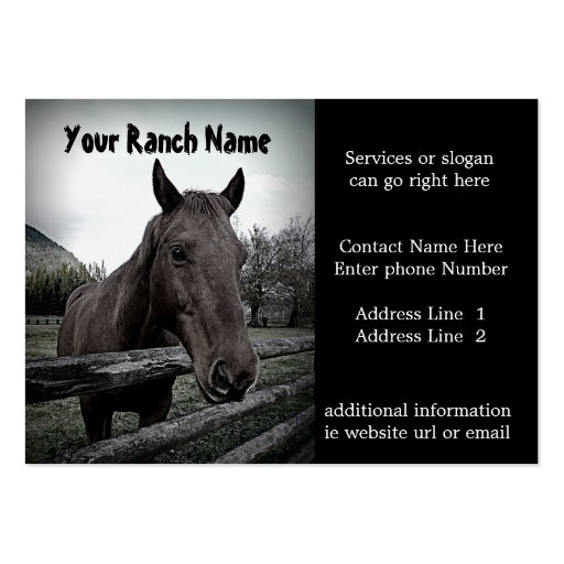 Horse ranch or Farm Supply Business Cards (front side)