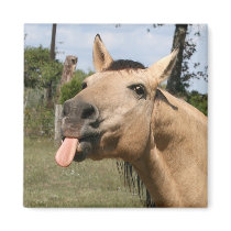 horse razzberry magnets