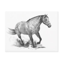 HORSE: REALISM PENCIL ART postcards by joyart HORSE: REALISM PENCIL ART postcards