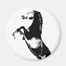 Horse Rearing Magnet