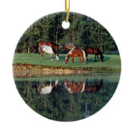 Horse Reflection Christmas Tree Ornaments