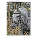 Horse Rescue Greeting Card