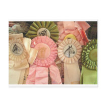 Horse Ribbon Postcards Horse Lovers