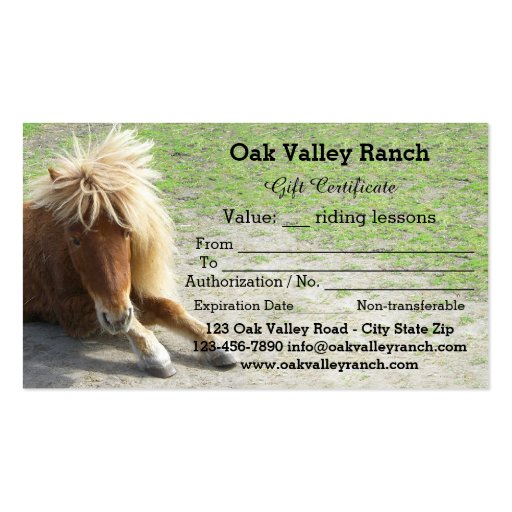 Horse Riding Lessons Gift Certificate Template Business Card Template (back side)