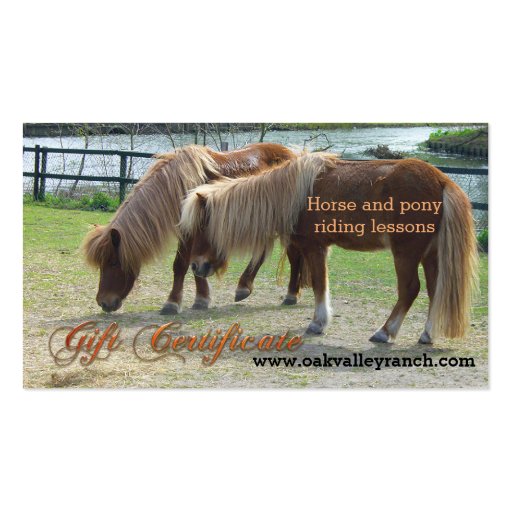 Horse Riding Lessons Gift Certificate Template Business Card Template (front side)