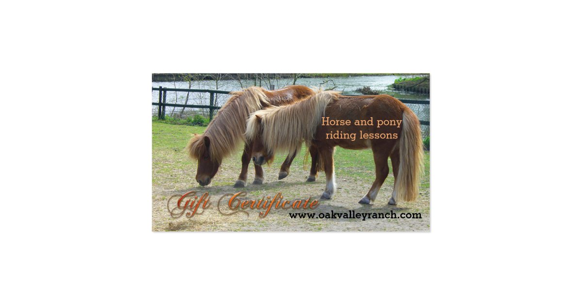 horse-riding-lessons-gift-certificate-template-business-card-zazzle