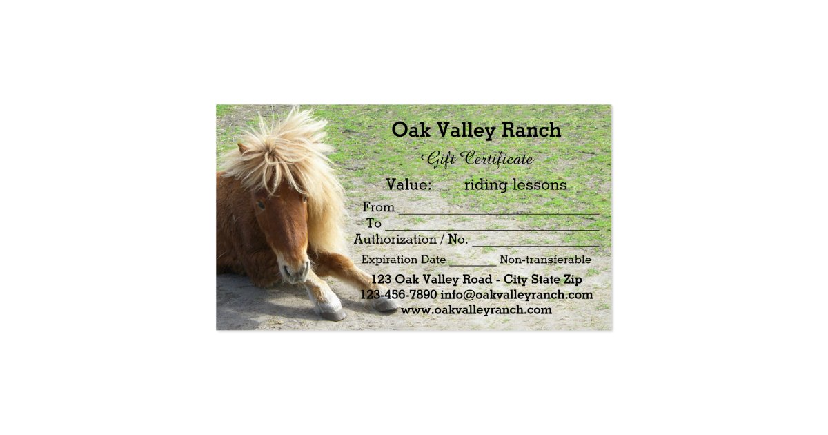 Horse Riding Lessons Gift Certificate Template Standard Business Card Horse Riding Lessons Gift Certificate Template Standard Business Card