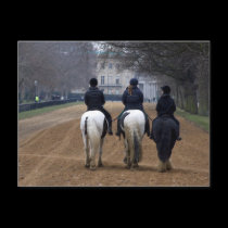 Horse Riding postcards