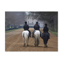 Horse Riding postcards by blackbylight Horse Riding postcards