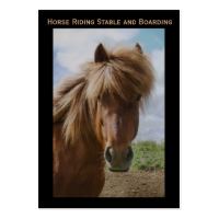 Horse Riding Stable and Boarding Business Card