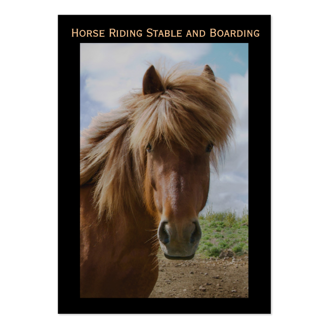 Horse Riding Stable and Boarding Business Card