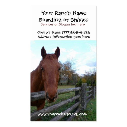 Horse Riding Stables or Boarding Services Business Card Templates (front side)