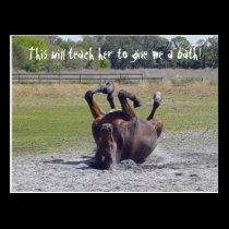 Horse Rolling Postcard postcards