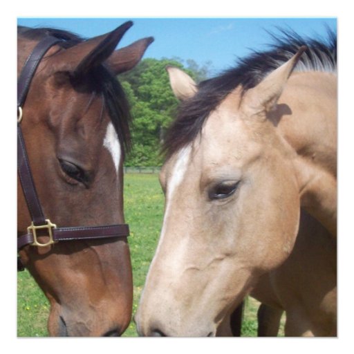 Horse Romance Invitation