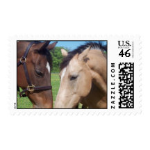 Horse Romance Postage Stamp
