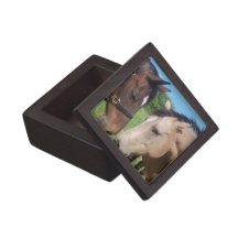 Horse Romance Premium Gift Box