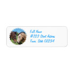 Horse Romance Return Address Label